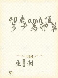 40岁amh值多少为卵巢功能减退封面