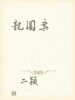 龙图案