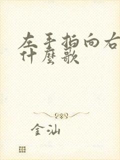 左手拍向右手是什么歌