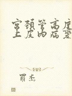 宫颈管高度鳞状上皮内病变