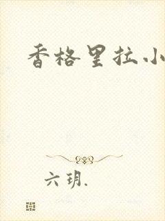 香格里拉小说封面