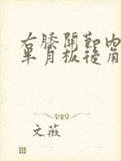 右膝关节内外侧半月板后角损伤封面