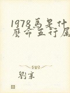 1978马是什么命五行属性封面