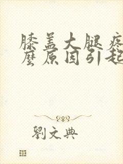 膝盖大腿疼痛什么原因引起的