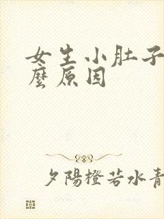女生小肚子疼什么原因封面