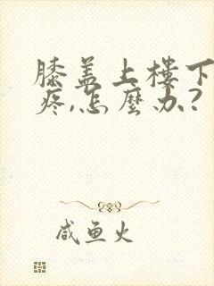 膝盖上楼下楼都疼,怎么办?