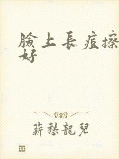 脸上长痘擦什么好