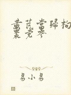 黄芪当归枸杞红枣党参