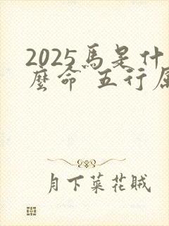 2025马是什么命 五行属什么