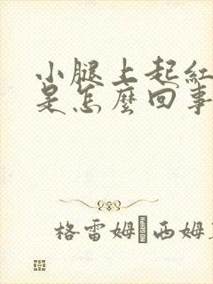小腿上起红点点是怎么回事