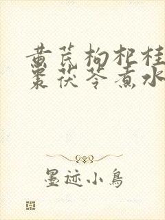 黄芪枸杞桂圆红枣茯苓煮水喝功效