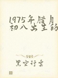 1975年腊月初八出生的命运如何