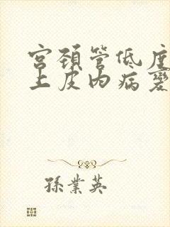 宫颈管低度鳞状上皮内病变