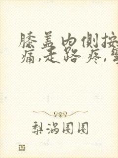 膝盖内侧按压疼痛,走路疼,弯曲疼
