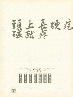 头上长硬疙瘩一碰就疼