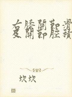 右膝关节滑膜囊及关节腔积液怎么办封面