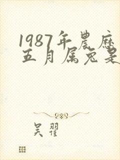 1987年农历五月属兔是什么命