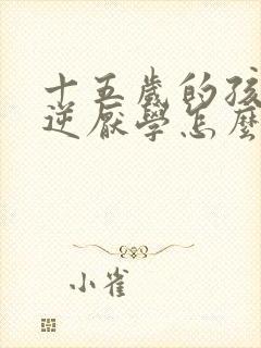 十五岁的孩子叛逆厌学怎么办封面