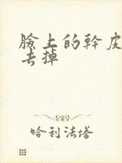 脸上的干皮怎么去掉