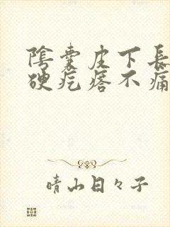 阴囊皮下长了个硬疙瘩不痛不痒