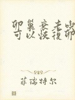 卵巢衰老吃什么可以恢复卵巢功能