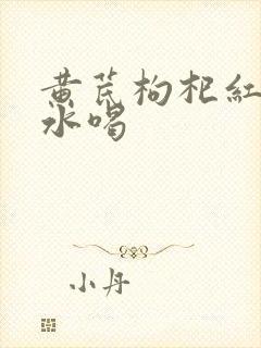 黄芪枸杞红枣泡水喝