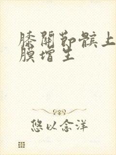 膝关节髌上囊滑膜增生