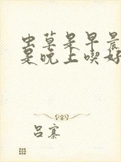 虫草是早晨吃还是晚上吃好