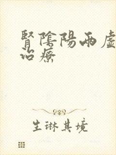 肾阴阳两虚如何治疗