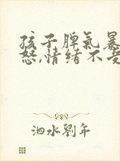 孩子脾气暴躁易怒,情绪不受控制