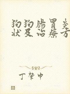狗狗肠胃炎的症状及治疗方法