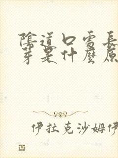 阴道口处长了肉芽是什么原因