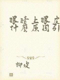 眼睛上眼皮痒是什么原因引起的