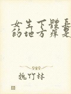 女生下体长阴毛的地方痒是怎么回事