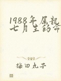 1988年属龙七月生的命运怎样