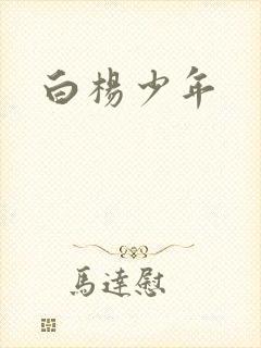 白杨少年封面