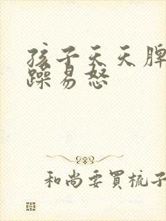 孩子天天脾气暴躁易怒封面