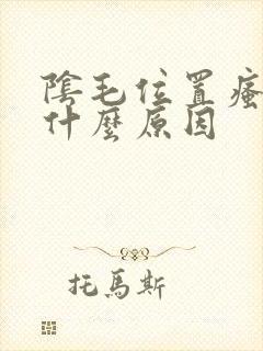 阴毛位置瘙痒是什么原因