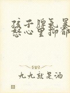 孩子脾气暴躁易怒心里抑郁封面
