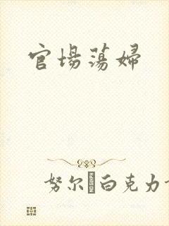 官场荡妇封面