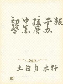 初中孩子叛逆厌学怎么办
