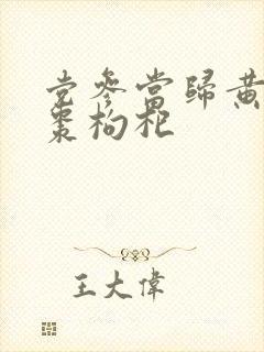 党参当归黄芪红枣枸杞