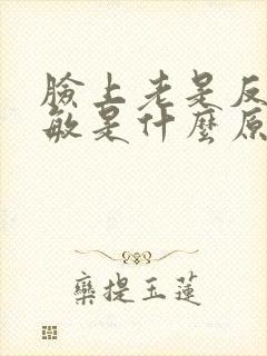 脸上老是反复过敏是什么原因