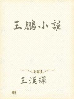 王鹏小说