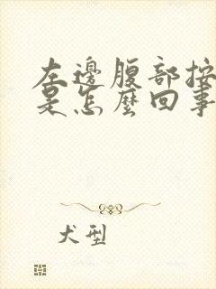 左边腹部按压疼是怎么回事女性
