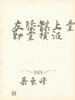 左膝髌上囊及关节囊积液
