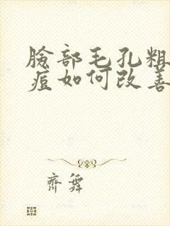 脸部毛孔粗大长痘如何改善