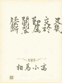 膝关节交叉韧带断裂属于几级伤残封面