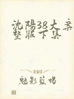沈阳38大案完整版下集