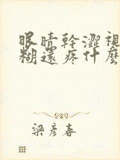 眼睛干涩视力模糊还疼什么原因